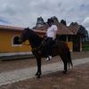 helmerantoniomelitoo