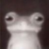 𝐎𝐜𝐭𝐚𝐯𝐢𝐨 ﾒ𝟶