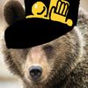 shashbear