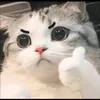 useryngs6xx1cz