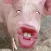 mayaiusinh210