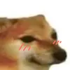 xiqkhf