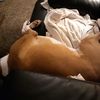 bradonetimenahalf