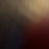 user392249004