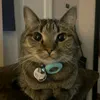 pilluracing_