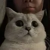 _milakd1811