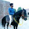rihanahmed51