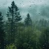 lilrainynights