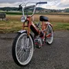 puch_janis