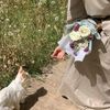 rahofa_080