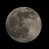 notcelinx