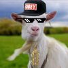 madefreshdaily