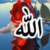 user84232405