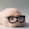 ta_ego