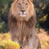 zeidahmad85