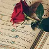 nouralhouda79