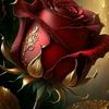 user38780118