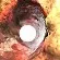 explato
