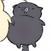 shuishiii
