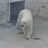 brigadier_mi