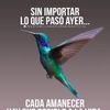 catracha730