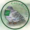 caitybellfics