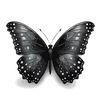 black_butterfly777