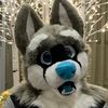 mikey_the_husky8