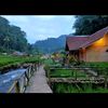 wiwinirnawati01