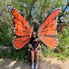vanearell_