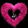 hibaabdullah25