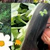 melomania_123