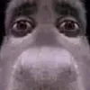 1nkrypted