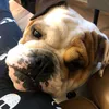 cynthom8