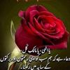 amansiraj28