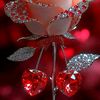 imad_x_22