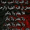 lodnagnem1