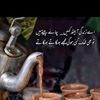 mhaider0065