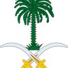 salehsaleh487