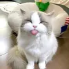 annybui390