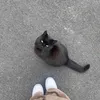 rsttrys