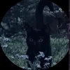 gemma_lw1