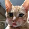 kimmkimm2202