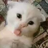hi.tuidayne
