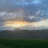 janssens_amber
