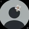 user2587643367