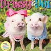 Prissy and Pop