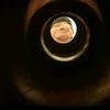 maksmatjasec69