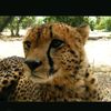 thespottymew