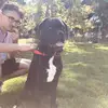 dxnnis.grm
